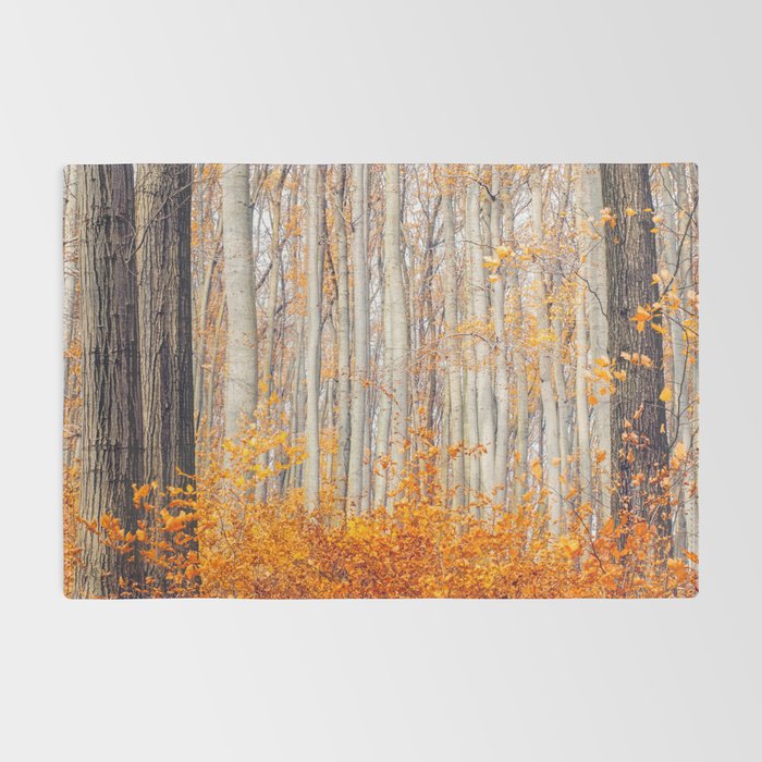 orange autumn Rug Gallery Image 2