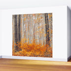 orange autumn Wall Mural Gallery Image 2