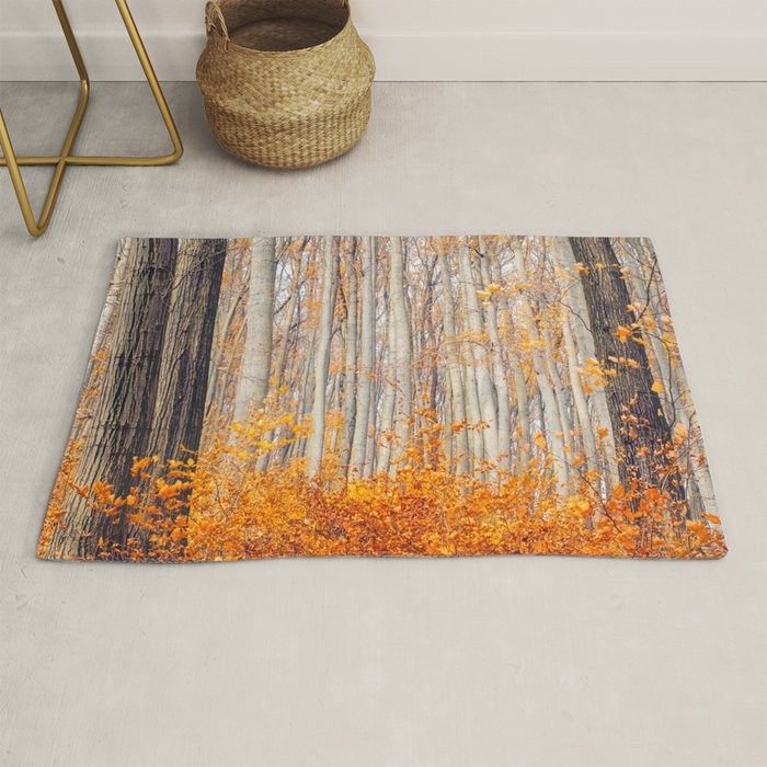 orange autumn Rug Gallery Image 1