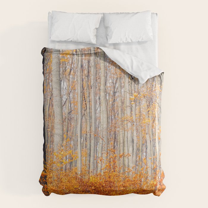 orange autumn Comforter Gallery Image 6