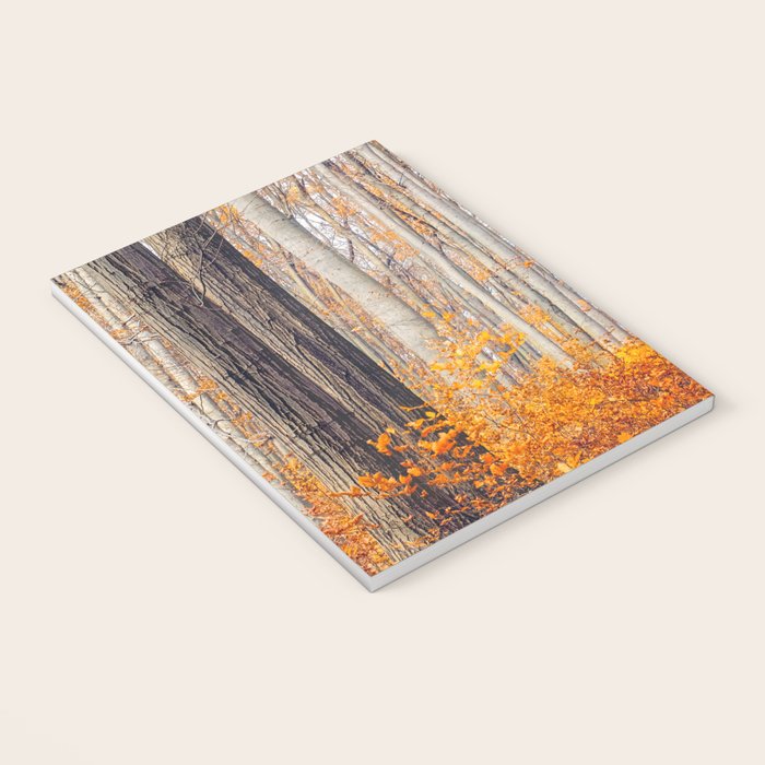 orange autumn Notebook Gallery Image 3