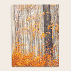 orange autumn Notebook Gallery Image 4