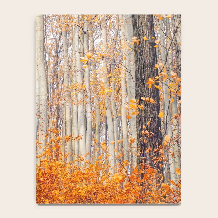 orange autumn Notebook Gallery Image 4
