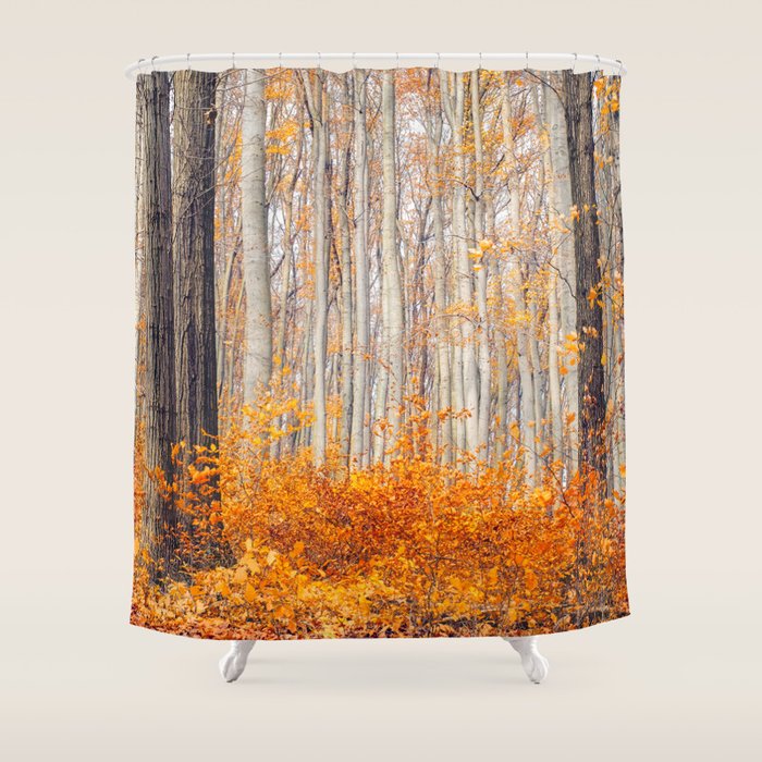orange autumn Shower Curtain Gallery Image 1