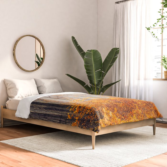 orange autumn Comforter Gallery Image 2
