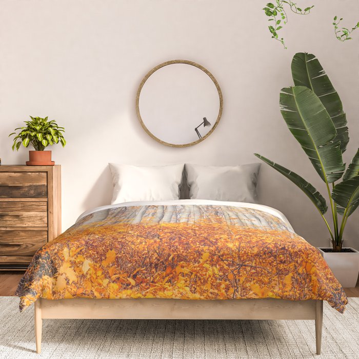 orange autumn Comforter Gallery Image 3