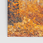 orange autumn Poster Gallery Image 3