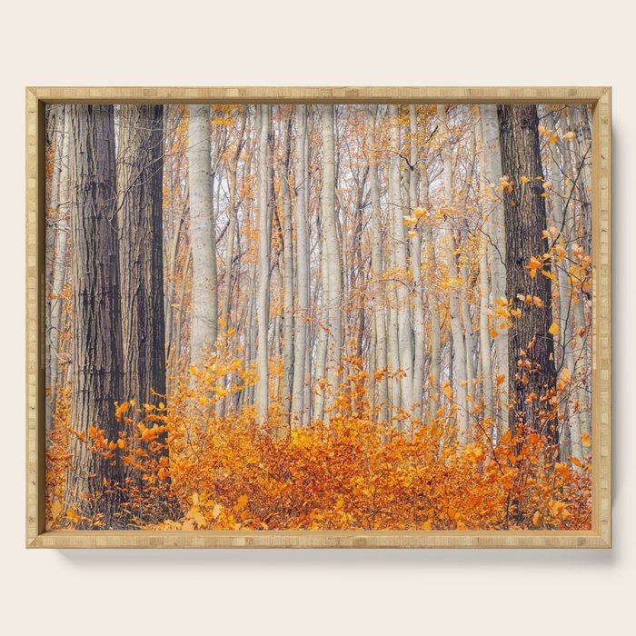 orange autumn Serving Tray Gallery Image 1