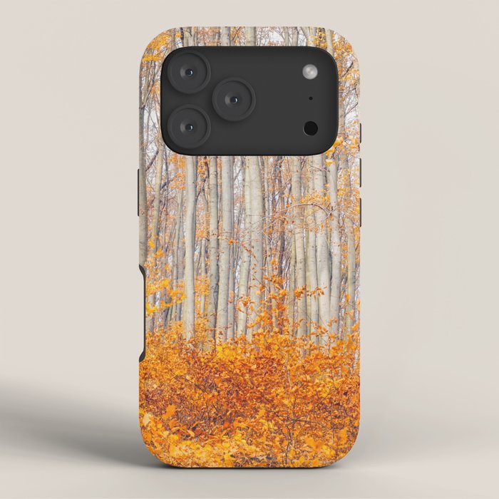 orange autumn iPhone Case Gallery Image 3