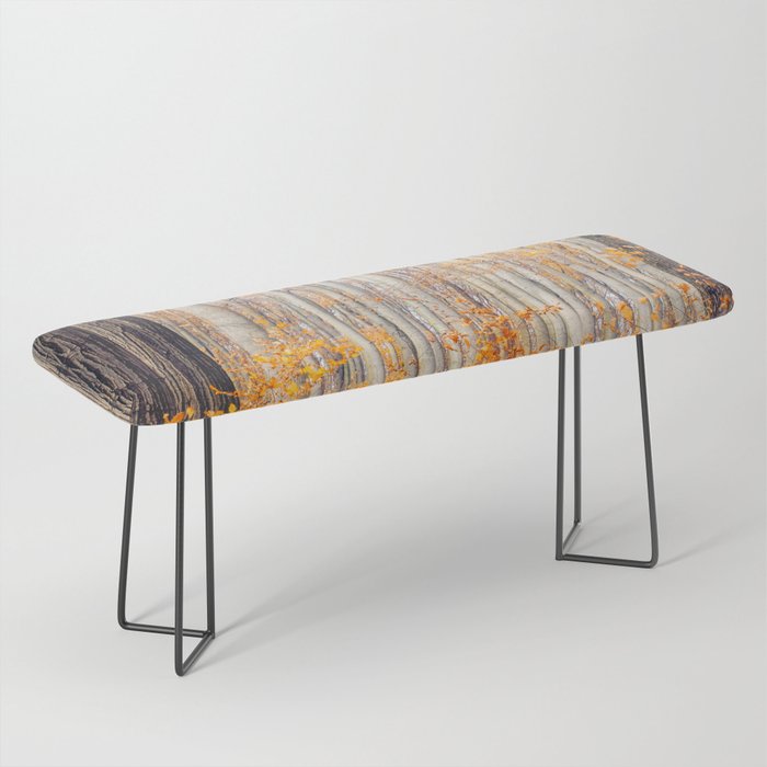 orange autumn Bench Gallery Image 1