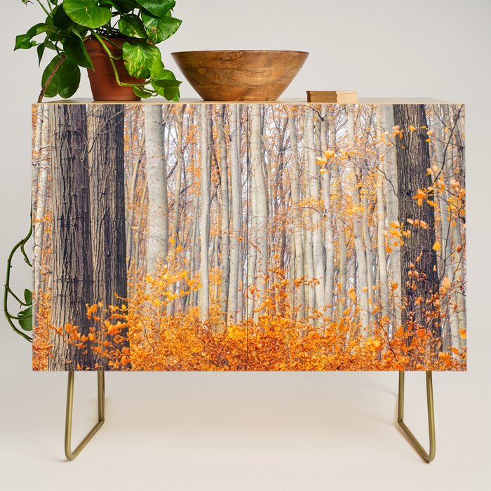 orange autumn Credenza Gallery Image 1
