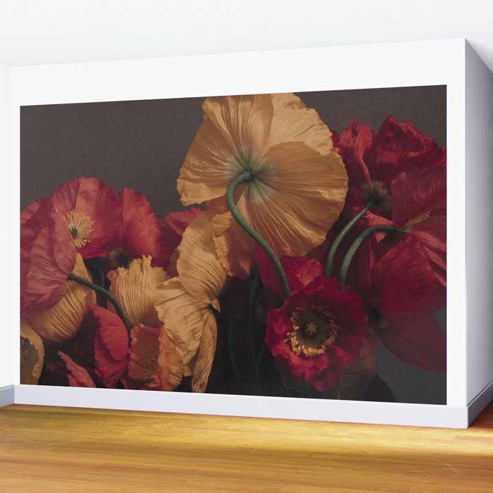 Coquette x botanical poppy flower photograph Wall Mural Gallery Image 2