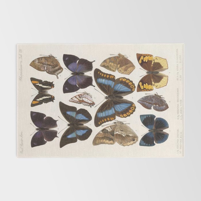 Vintage Scientific Insect Butterfly Moth Biological Hand Drawn Species Art Illustration Rug Gallery Image 2