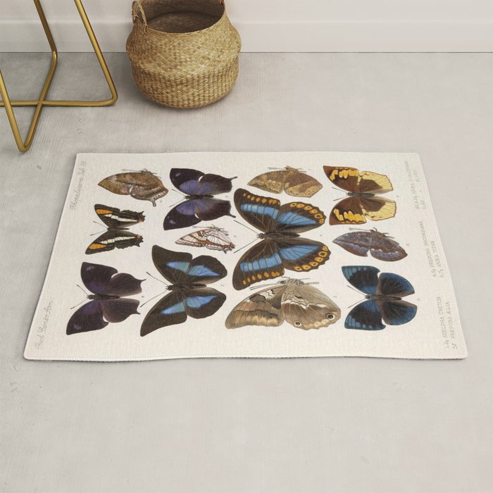 Vintage Scientific Insect Butterfly Moth Biological Hand Drawn Species Art Illustration Rug Gallery Image 1