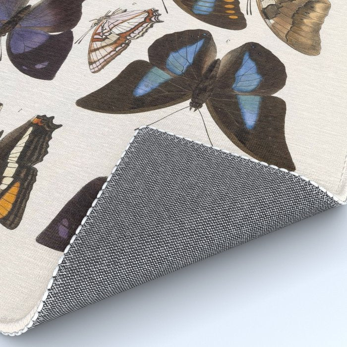 Vintage Scientific Insect Butterfly Moth Biological Hand Drawn Species Art Illustration Rug Gallery Image 4