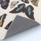 Vintage Scientific Insect Butterfly Moth Biological Hand Drawn Species Art Illustration Rug Gallery Image 4