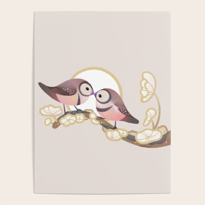 Owl finch Poster Gallery Image 4