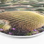 Vintage Desert Cactus Garden Bath Mat Gallery Image 3