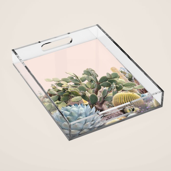 Vintage Desert Cactus Garden Acrylic Tray Gallery Image 1