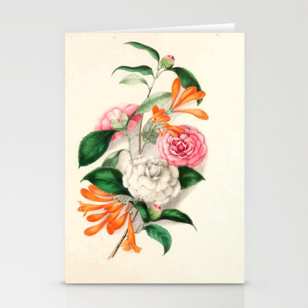 Flowers from "Floral Belles" by Clarissa Munger Badger, 1866 (benefitting The Nature Conservancy) Stationery Card Gallery Image 2