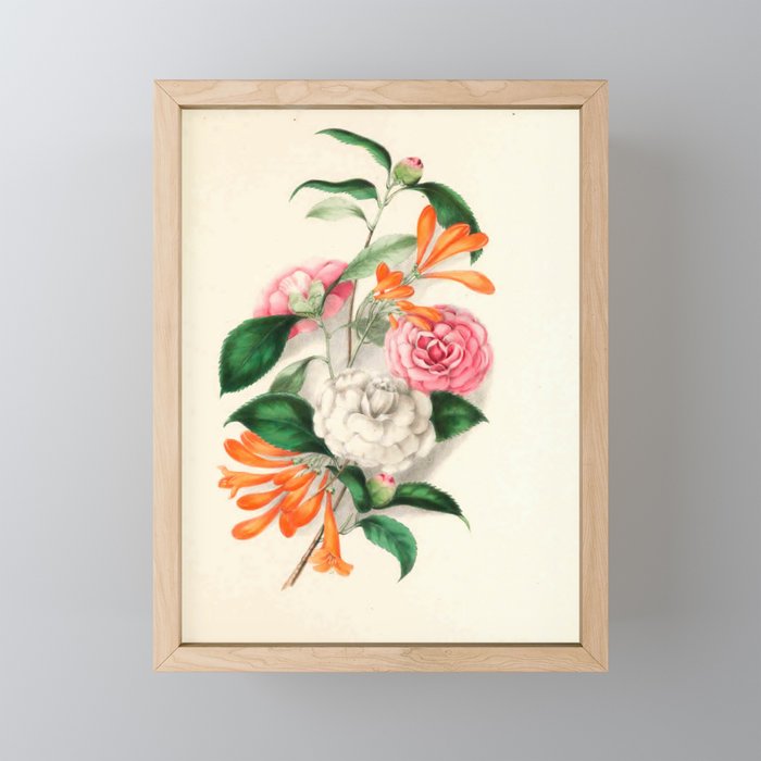 Flowers from "Floral Belles" by Clarissa Munger Badger, 1866 (benefitting The Nature Conservancy) Mini Art Print Gallery Image 1