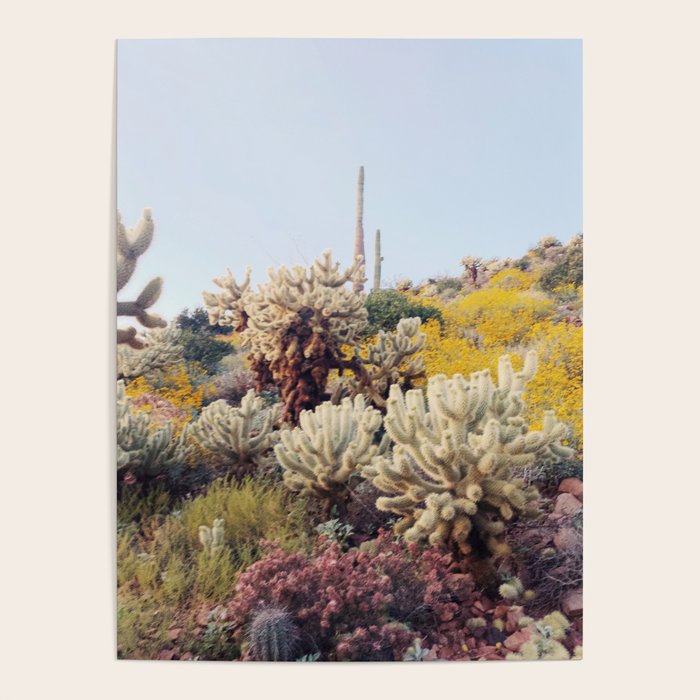 Arizona Color Poster Gallery Image 1