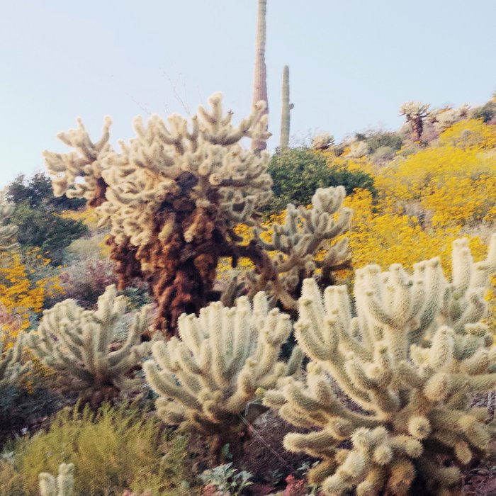 Arizona Color Coffee Mug Gallery Image 2