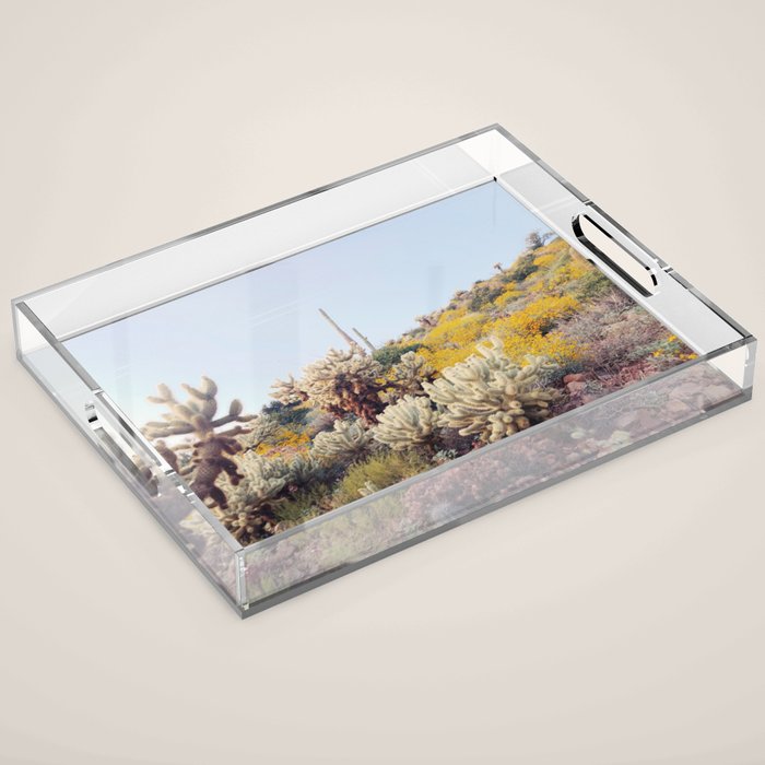 Arizona Color Acrylic Tray Gallery Image 1