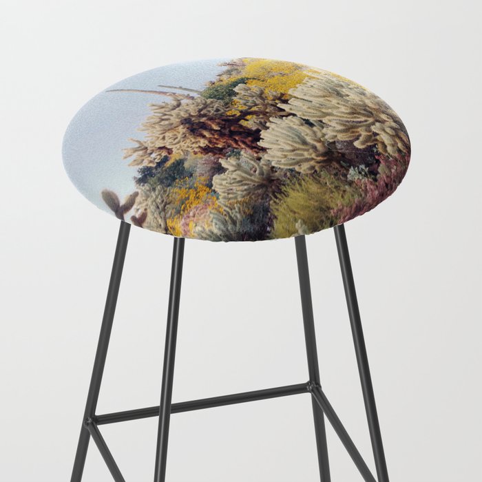 Arizona Color Stool Gallery Image 2