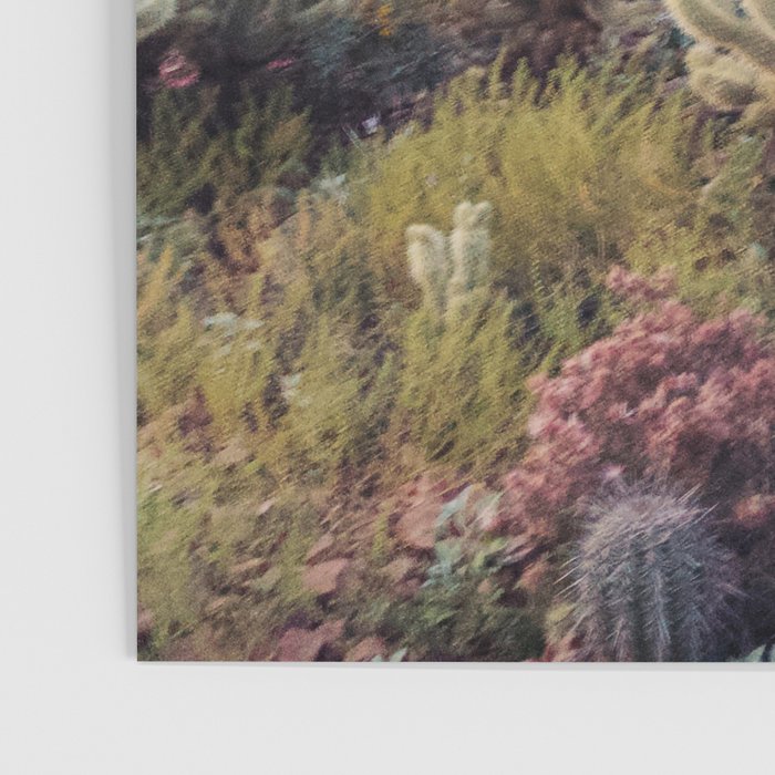 Arizona Color Poster Gallery Image 3