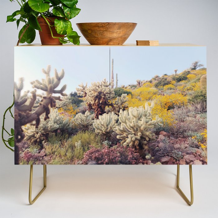 Arizona Color Credenza Gallery Image 1