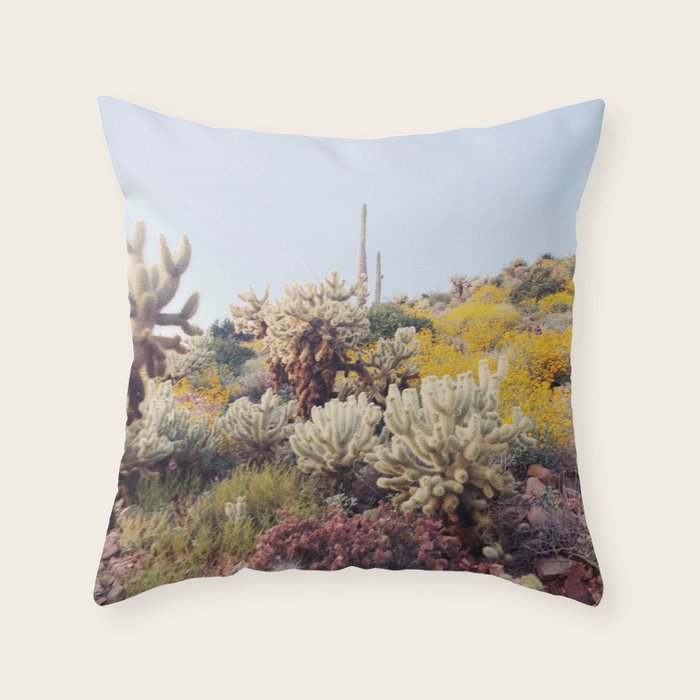 Arizona Color Throw Pillow Gallery Image 6