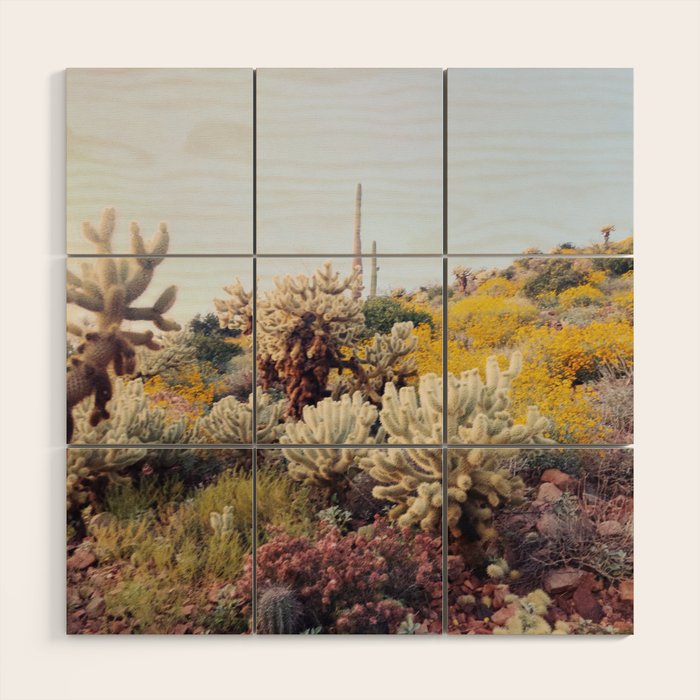Arizona Color Wood Wall Art Gallery Image 1