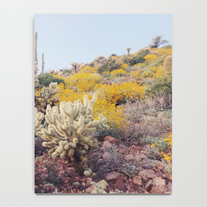 Arizona Color Notebook Gallery Image 4