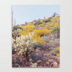 Arizona Color Notebook Gallery Image 4