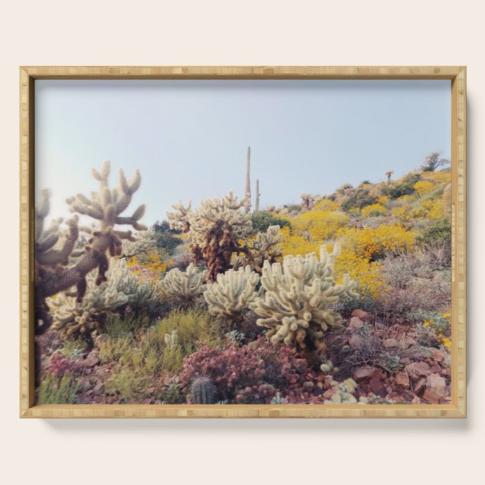 Arizona Color Serving Tray Gallery Image 1