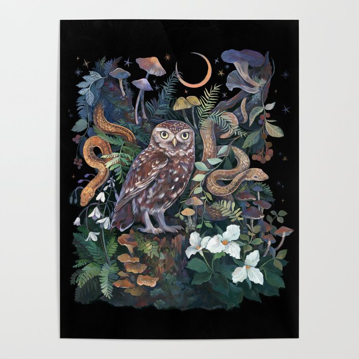 Owl and Snakes Mushroom forest Poster Gallery Image 1