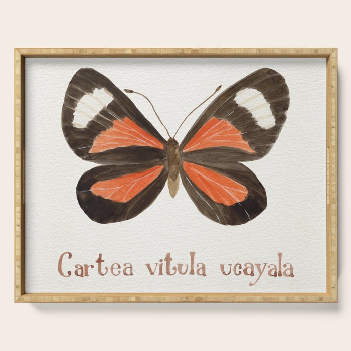 Butterfly - Cartea vitula ucayala Serving Tray Gallery Image 1