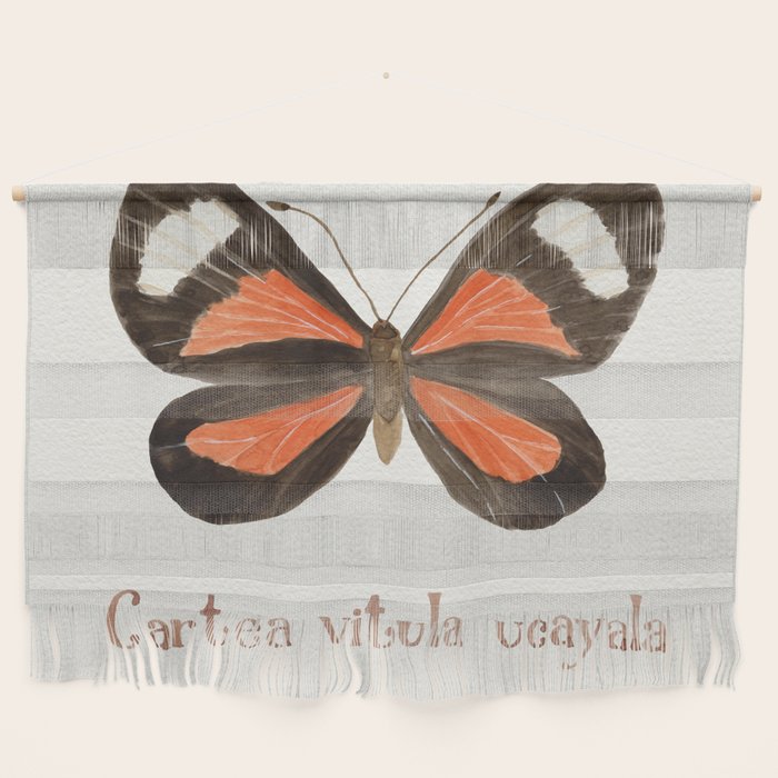 Butterfly - Cartea vitula ucayala Wall Hanging Gallery Image 1