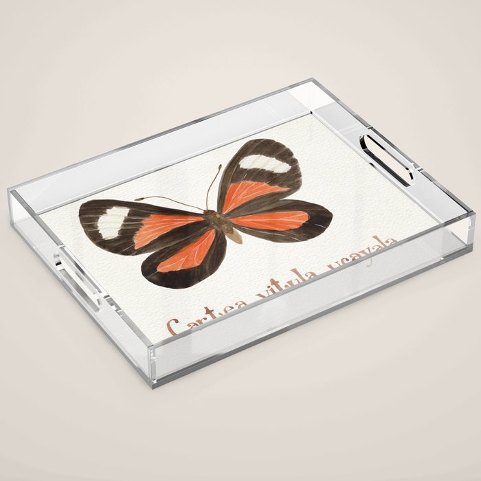 Butterfly - Cartea vitula ucayala Acrylic Tray Gallery Image 1