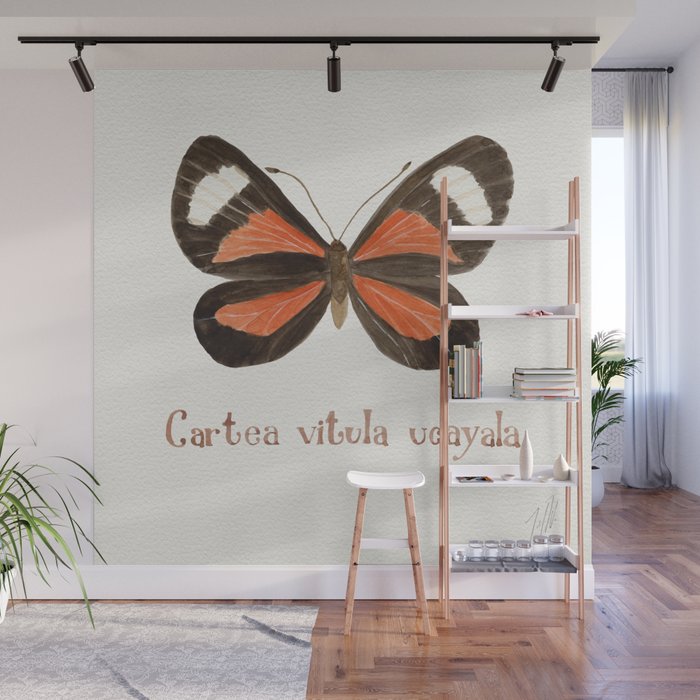 Butterfly - Cartea vitula ucayala Wall Mural Gallery Image 1