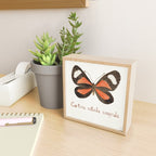 Butterfly - Cartea vitula ucayala Mini Art Print Gallery Image 2