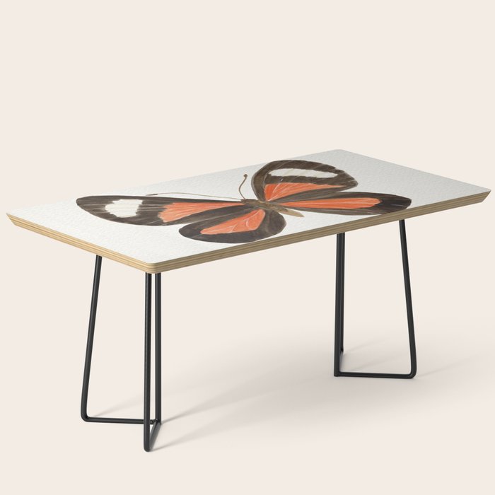Butterfly - Cartea vitula ucayala Coffee Table Gallery Image 1