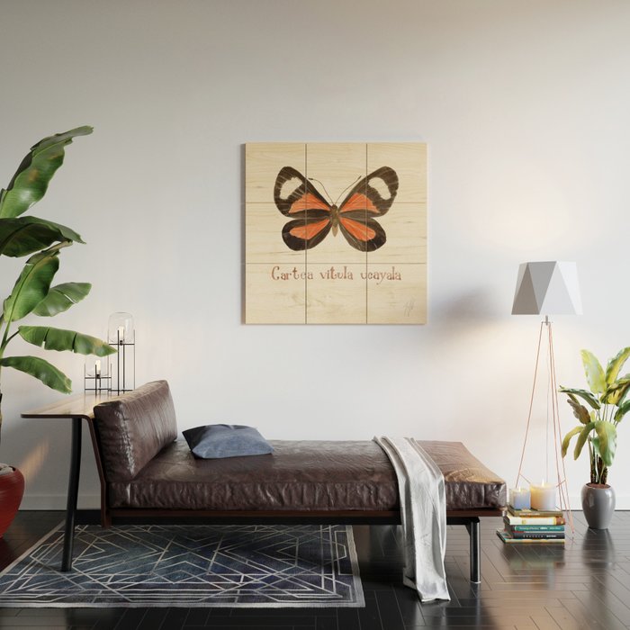 Butterfly - Cartea vitula ucayala Wood Wall Art Gallery Image 2