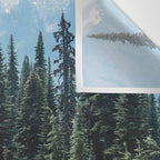 Mount Rainier Classic Mountain Meadow - 129/365 Nature Photography Wall Tapestry Gallery Image 3