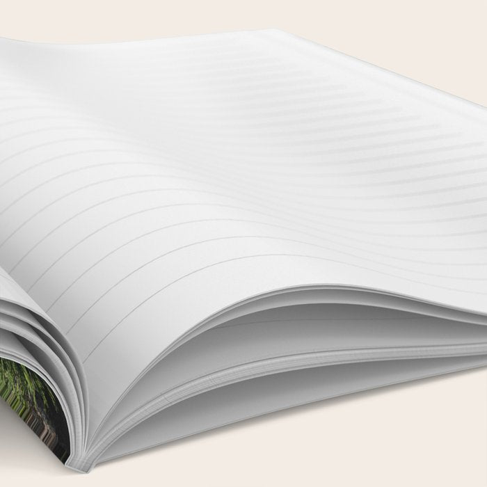 Mount Rainier Classic Mountain Meadow - 129/365 Nature Photography Notebook Gallery Image 2