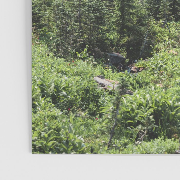 Mount Rainier Classic Mountain Meadow - 129/365 Nature Photography Poster Gallery Image 3
