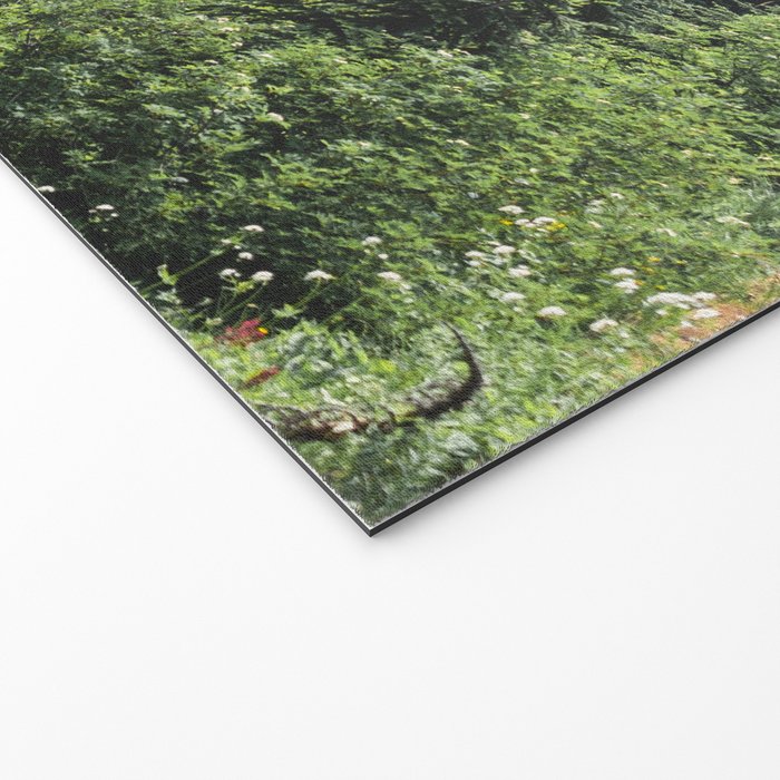 Mount Rainier Classic Mountain Meadow - 129/365 Nature Photography Welcome Mat Gallery Image 2