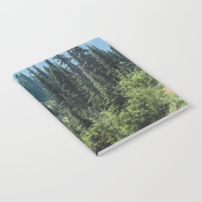 Mount Rainier Classic Mountain Meadow - 129/365 Nature Photography Notebook Gallery Image 2