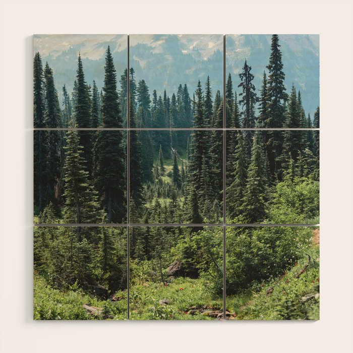 Mount Rainier Classic Mountain Meadow - 129/365 Nature Photography Wood Wall Art Gallery Image 1